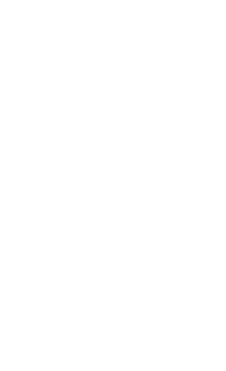 layer-11